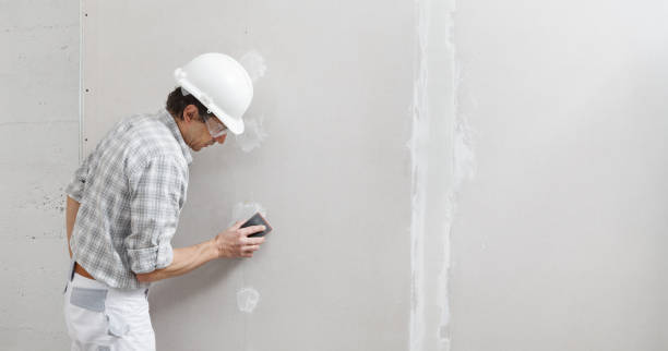 Best Drywall Installation  in Warren, MI